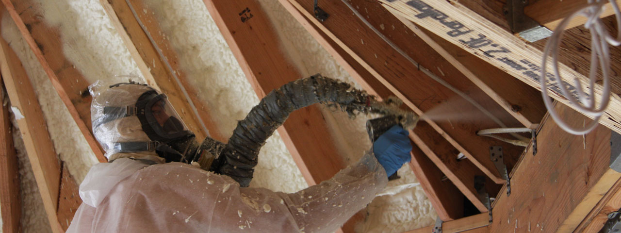 Hamilton Ontario Attic Insulation Spray Foam